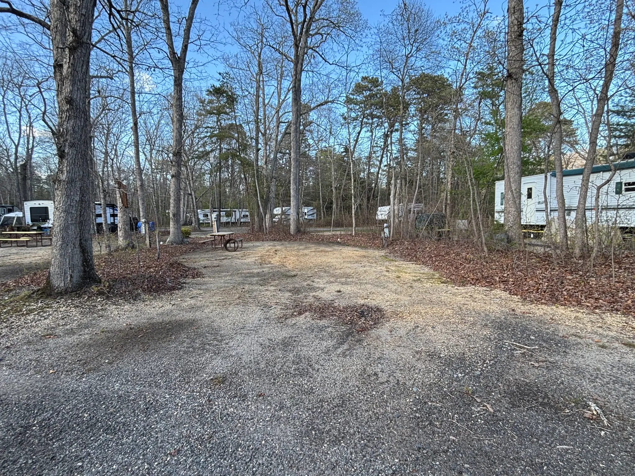 Site 51