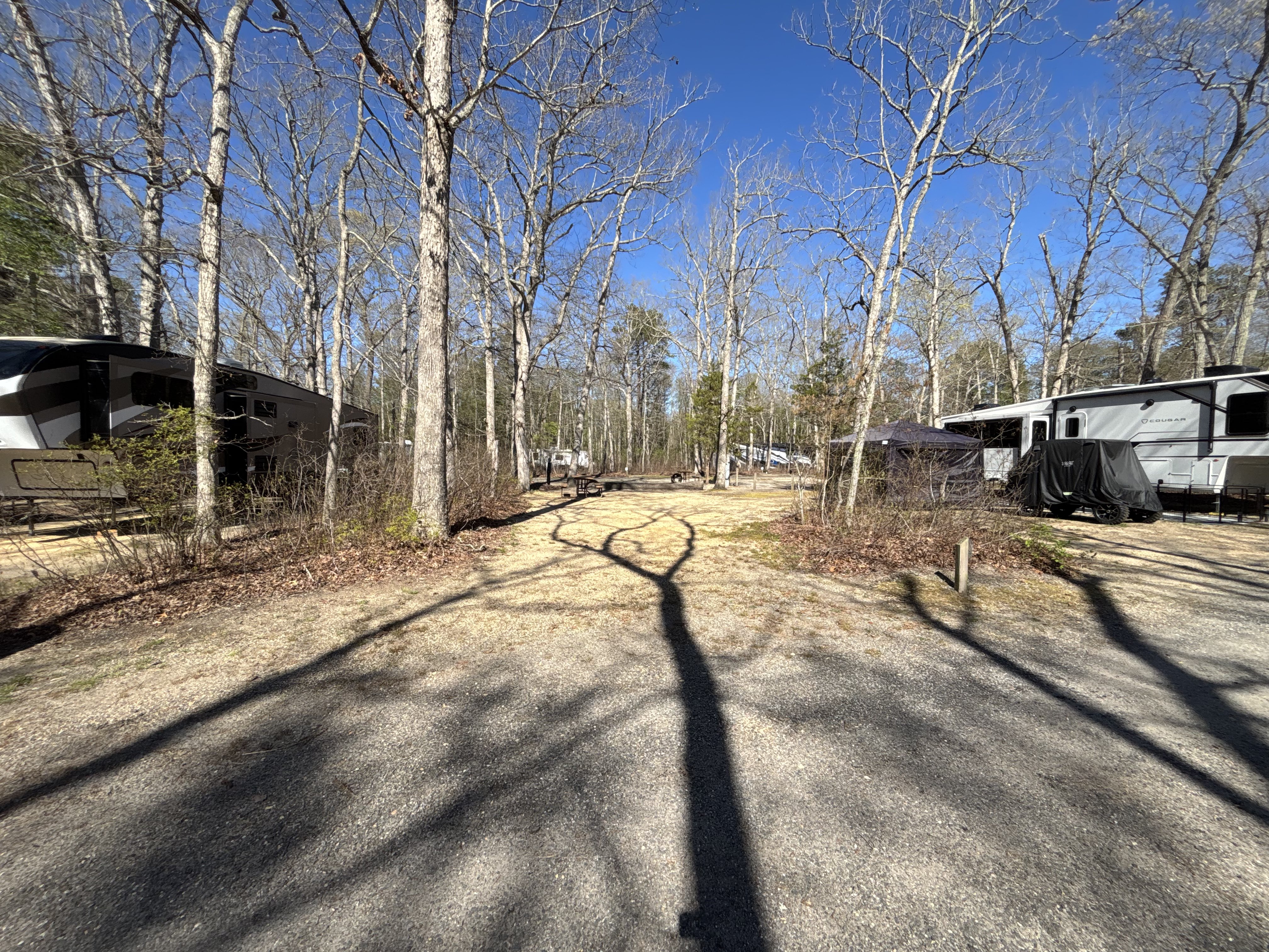 Site 77